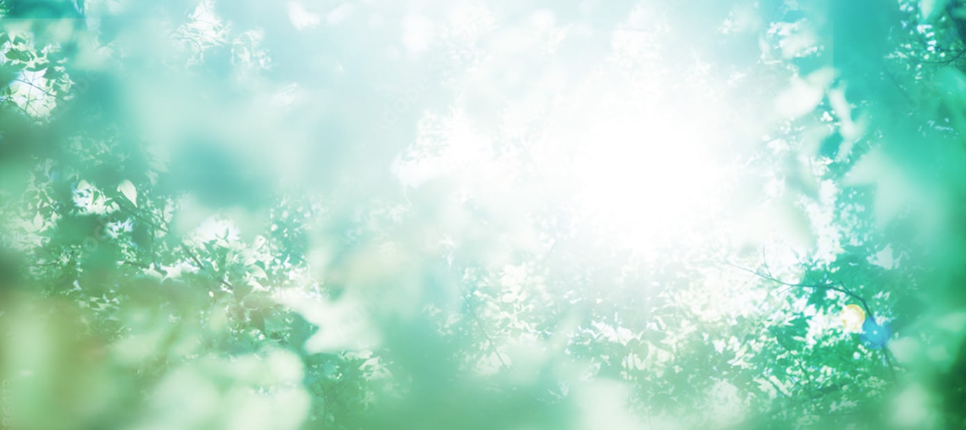 みずみずしい新緑のイメージ